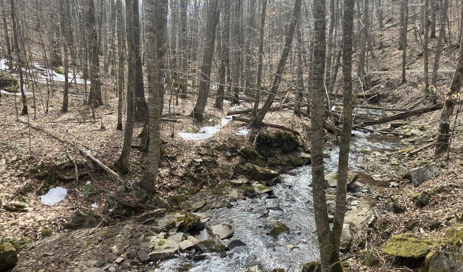 0 TBD Elleber Sods Rd, Bartow, WV 24920 - 0 Beds, 0 Bath