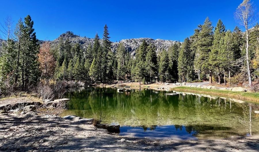 2337 Bear Falls Ln, Alpine Meadows, CA 96146 - 5 Beds, 5 Bath
