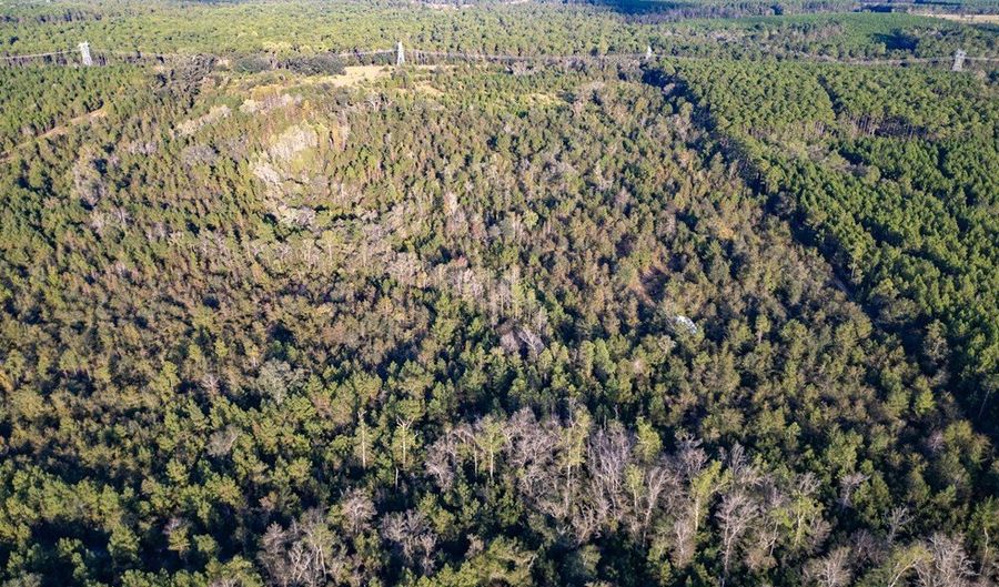 0 Morris Lndg, Baxley, GA 31513 - 0 Beds, 0 Bath