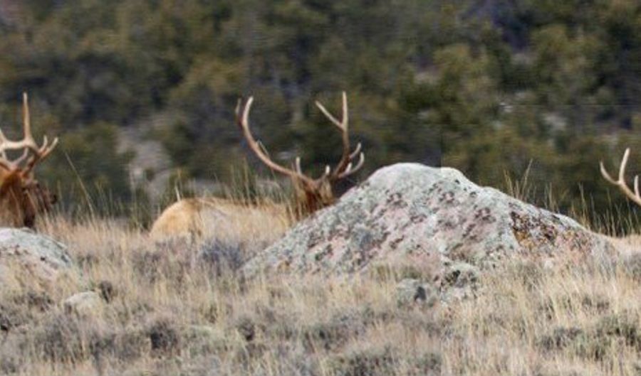 nhn Ranger Way lot Bvr 942-10, Belfry, MT 59008 - 0 Beds, 0 Bath