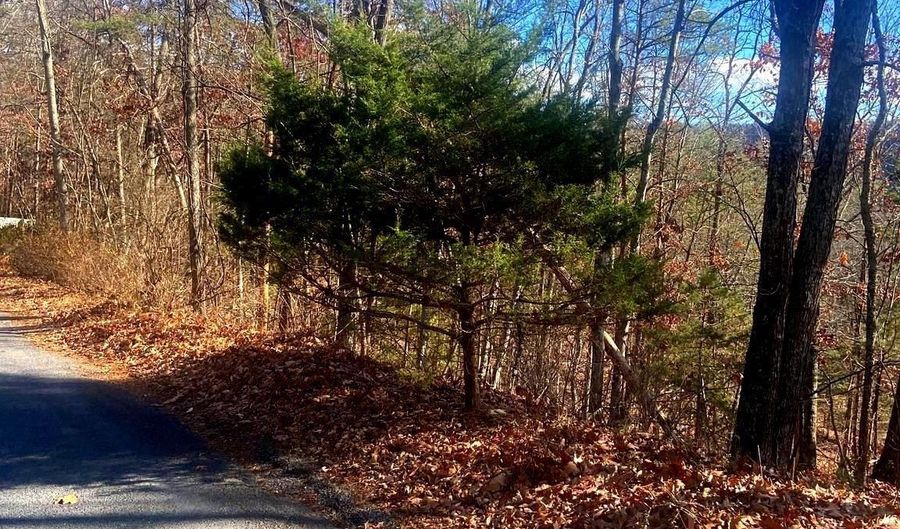 SPITZ Lane, Basye, VA 22810 - 0 Beds, 0 Bath