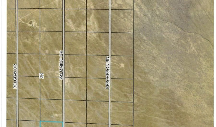 08067107 Palomino Rd, Golconda, NV 89414 - 0 Beds, 0 Bath