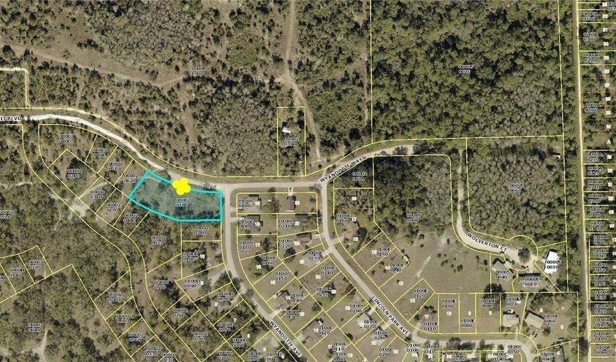2138 Wyandotte Ave, Alva, FL 33920 - 0 Beds, 0 Bath