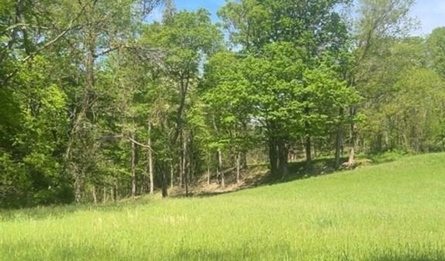 Wolf Hill Rd, Bethpage, TN 37022 - 0 Beds, 0 Bath