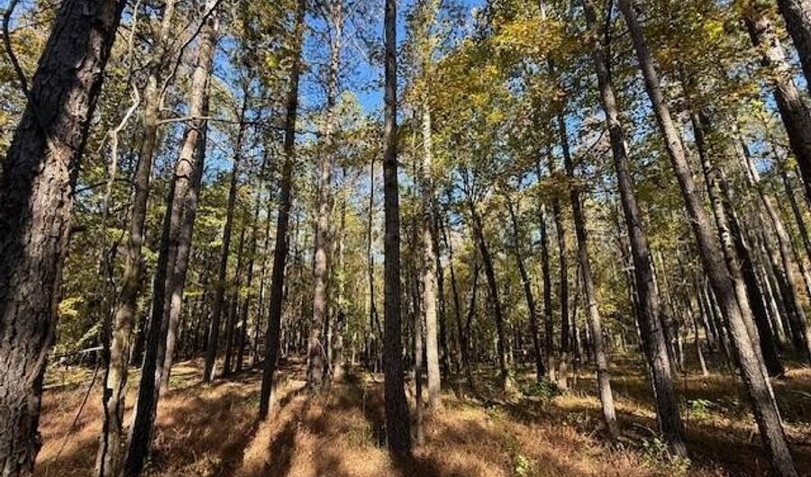 Perry Chapel Road, Ashland, MS 38603 - 0 Beds, 0 Bath