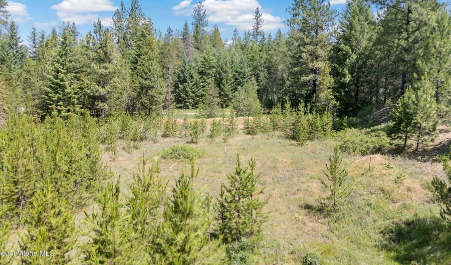Tbd Homestead Rd, Athol, ID 83801 - 0 Beds, 0 Bath