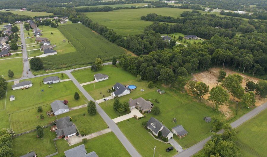 486 Washington Dr, Almo, KY 42020 - 3 Beds, 4 Bath