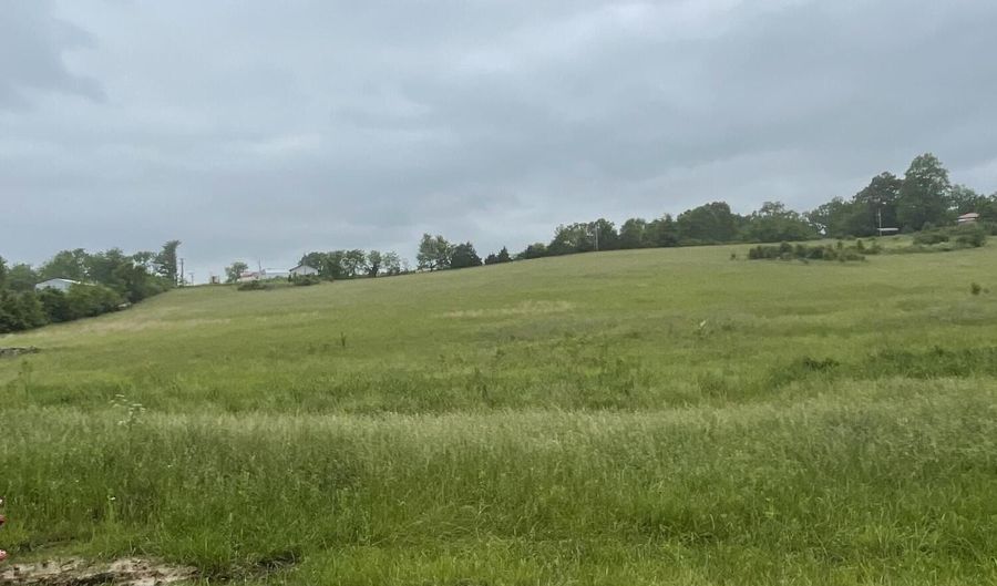 1007 S Jefferson St 1, Ava, MO 65608 - 0 Beds, 0 Bath