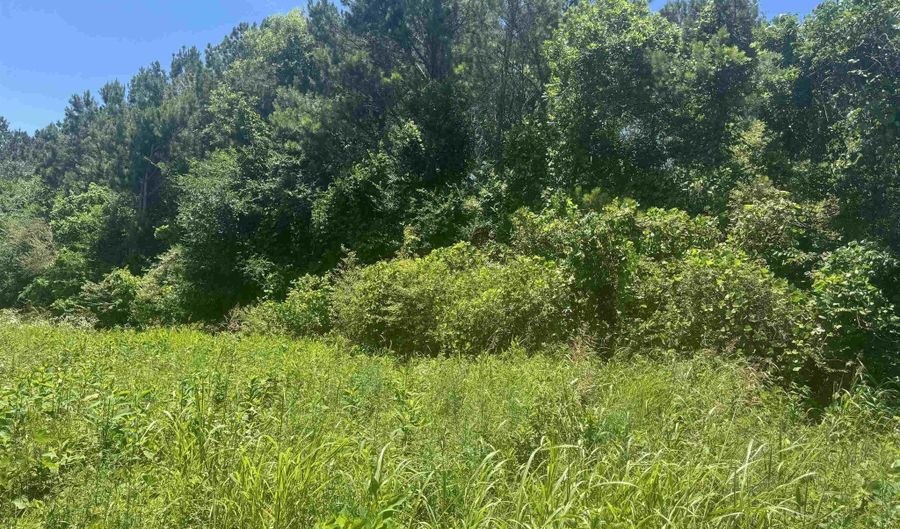 HIGHWAY 431 lot 0, Alexandria, AL 36250 - 0 Beds, 0 Bath