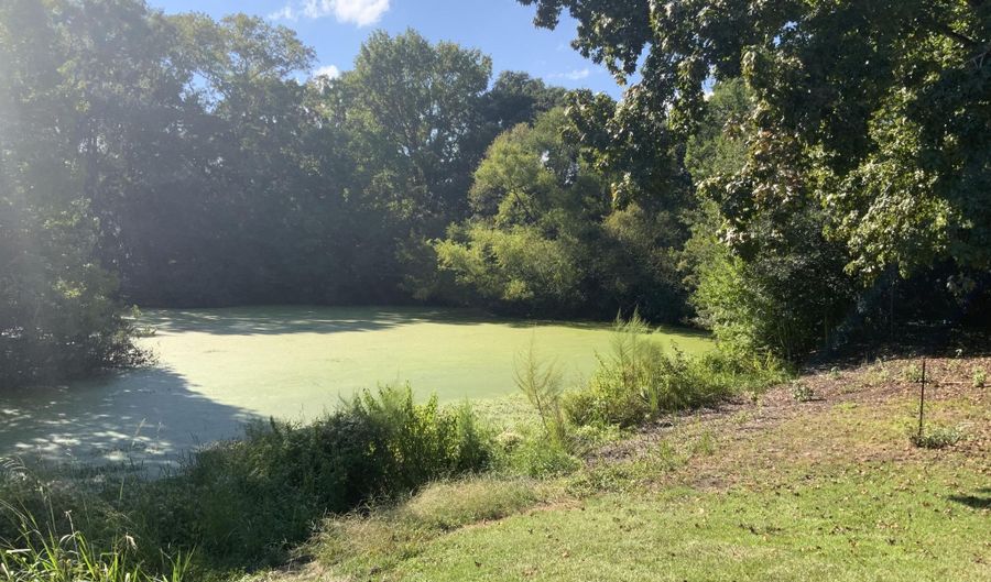 2205 Waterford Pl 17D, Beaufort, SC 29902 - 1 Beds, 1 Bath