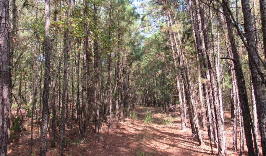 Antlers Road, Antlers, OK 74523 - 0 Beds, 0 Bath