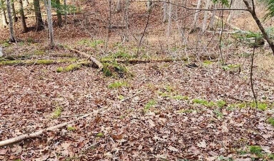 86 Oak Hill Rd, Belfast, ME 04915 - 0 Beds, 0 Bath