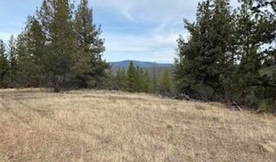 0 Widgeon, Bonanza, OR 97623 - 0 Beds, 0 Bath