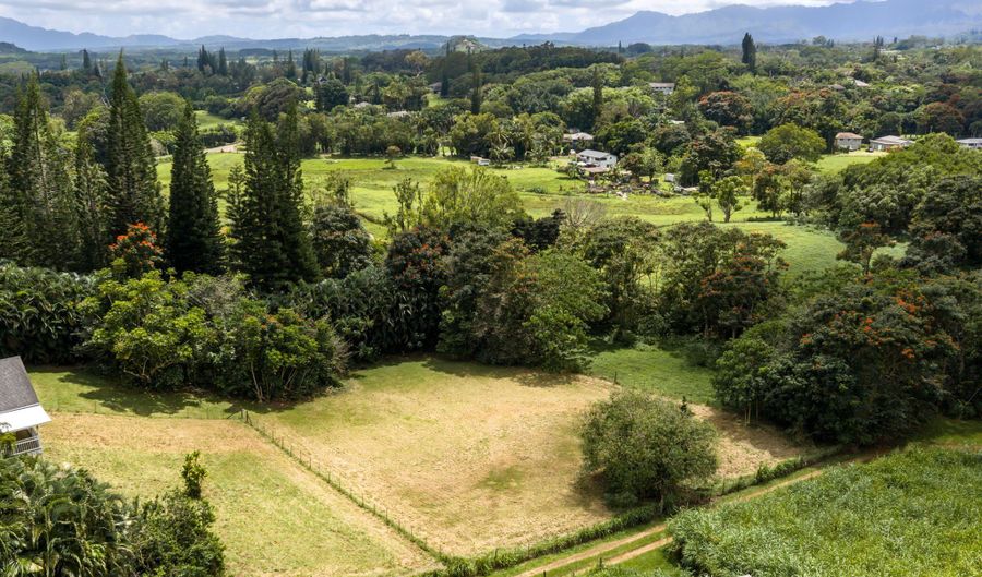PUUOPAE RD, Kapaa, HI 96746 - 0 Beds, 0 Bath