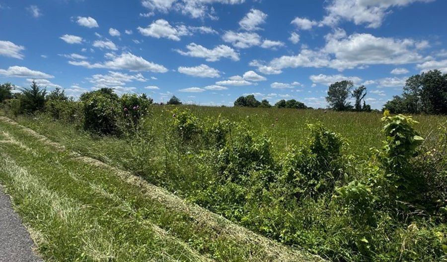 Tract 4 Old Kentucky Rd Hwy 528 lot 4, Albany, KY 42602 - 0 Beds, 0 Bath