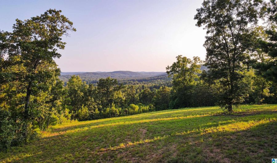 200 TABLEE LANE Lot 17.65, Ashland, AL 36251 - 0 Beds, 0 Bath
