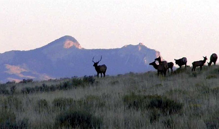 Roberts Trail E lot Bvr 930-24, Belfry, MT 59008 - 0 Beds, 0 Bath