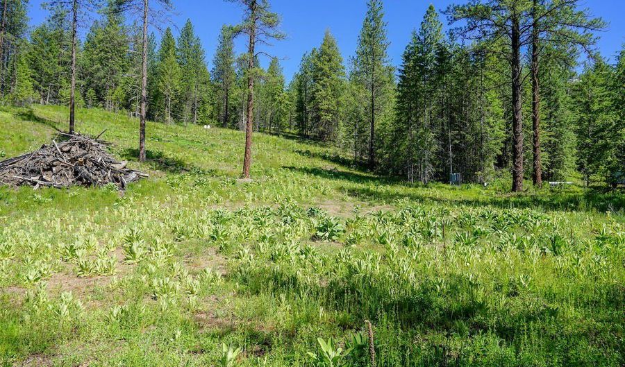 NKA Meadowland Drive, Blanchard, ID 83804 - 0 Beds, 0 Bath