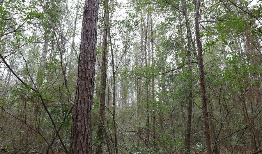 TBD Hwy. 29, Brooklyn, MS 39425 - 0 Beds, 0 Bath