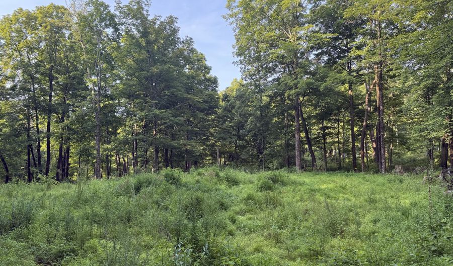 393 County Rte 2, Accord, NY 12404 - 0 Beds, 0 Bath