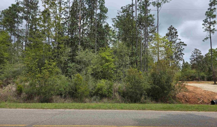 11631 Red Hill Rd Ext, Bay Minette, AL 36507 - 0 Beds, 0 Bath