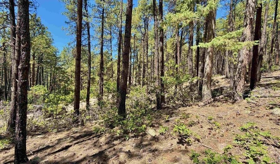 249 Timber Dr, Bayfield, CO 81122 - 0 Beds, 0 Bath