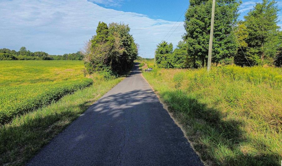 224 County Road 1003, Bardwell, KY 42023 - 0 Beds, 0 Bath