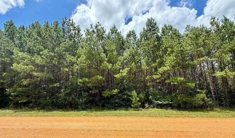 2316 Traci Loop, Bogue Chitto, MS 39629 - 0 Beds, 0 Bath