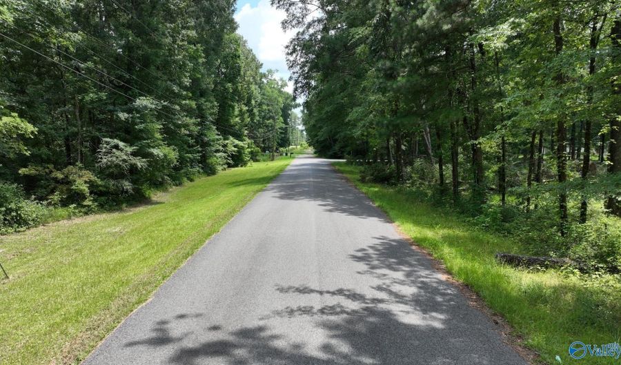 Wilcox Street SE, Attalla, AL 35954 - 0 Beds, 0 Bath