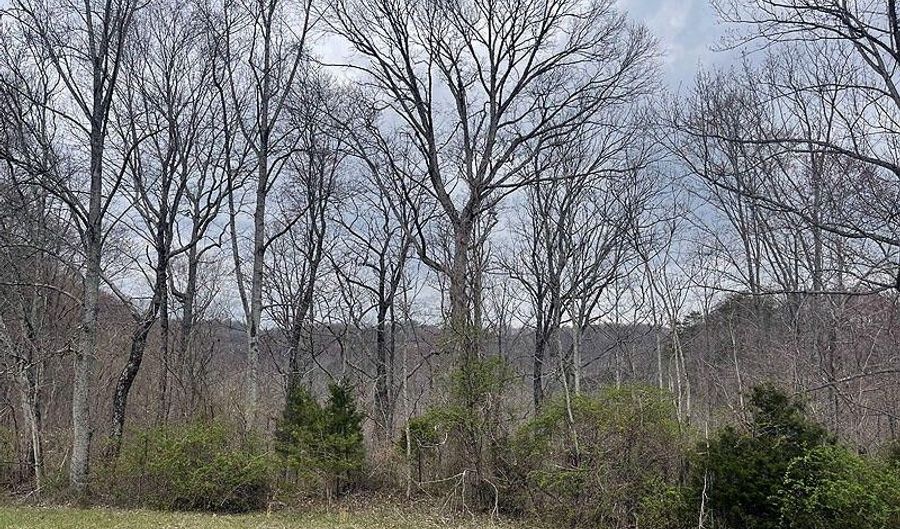 Lot 4 Hickory Point, Monticello, KY 42633 - 0 Beds, 0 Bath