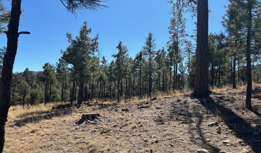 10 County Road 2193, Alpine, AZ 85920 - 0 Beds, 0 Bath