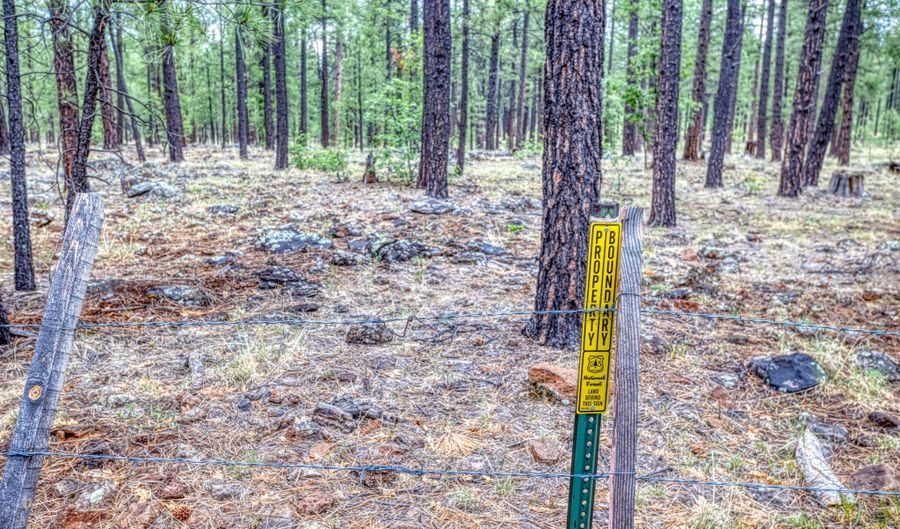 7930 Tall Pine Dr, Pinetop, AZ 85935 - 0 Beds, 0 Bath