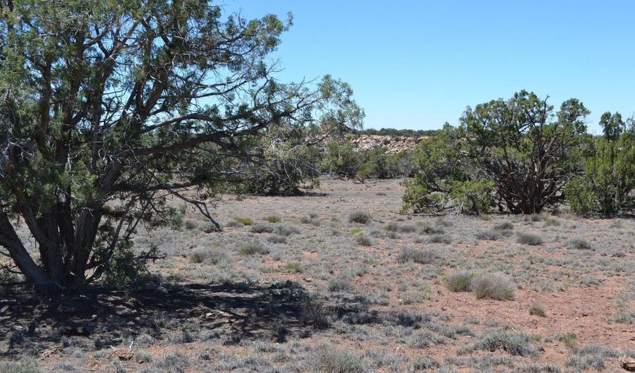 N8604 1, Concho, AZ 85924 - 0 Beds, 0 Bath