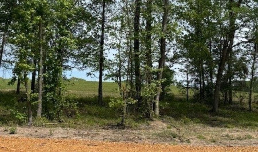 Maddox Court, Arkadelphia, AR 71923 - 0 Beds, 0 Bath