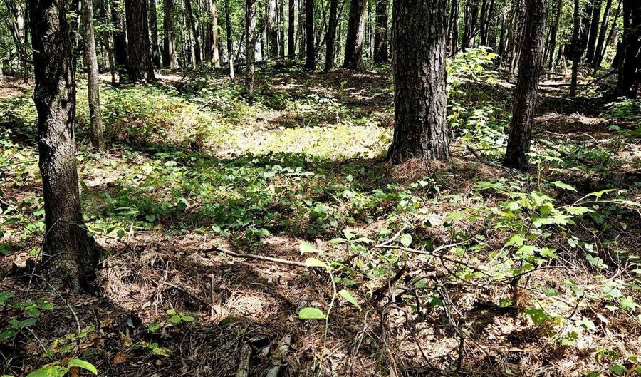 0 Carl Midway Church Rd, Auburn, GA 30011 Other 13 of Photos MLS