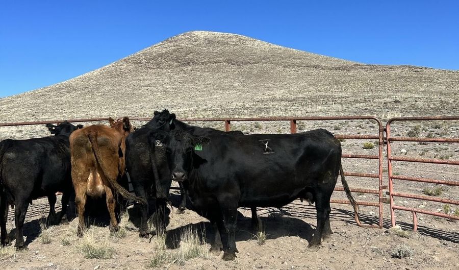 Costilla County Parcel # 400022, Blanca, CO 81123 - 0 Beds, 0 Bath
