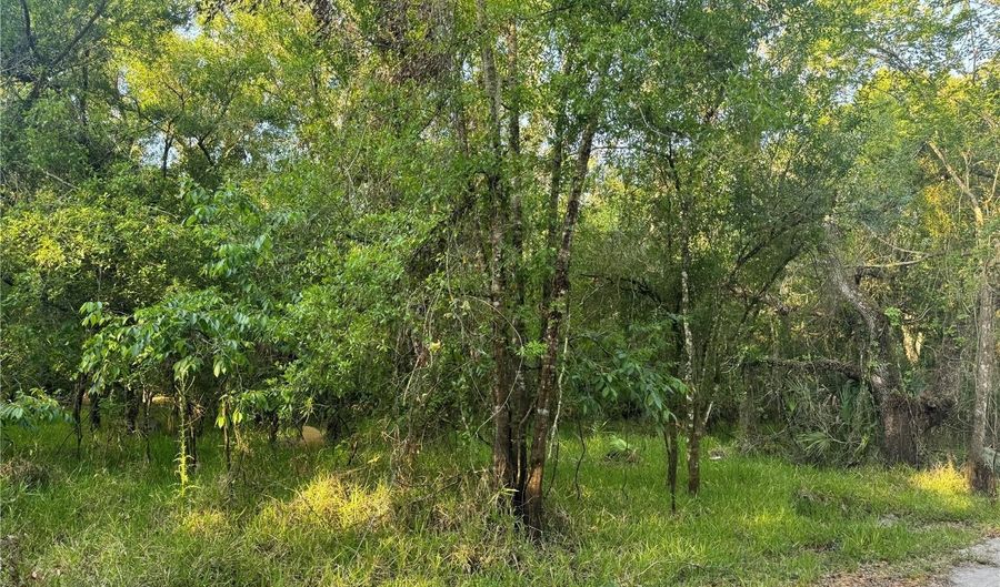 NE RIVER RIDGE AVENUE, Arcadia, FL 34266 - 0 Beds, 0 Bath