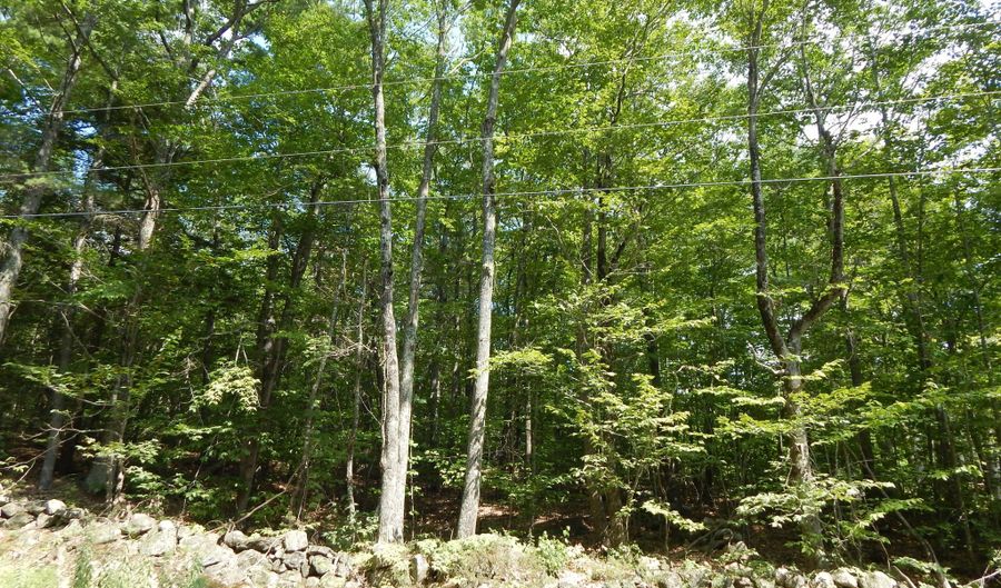 Lot 6 Maplecrest Road, Parsonsfield, ME 04047 - 0 Beds, 0 Bath