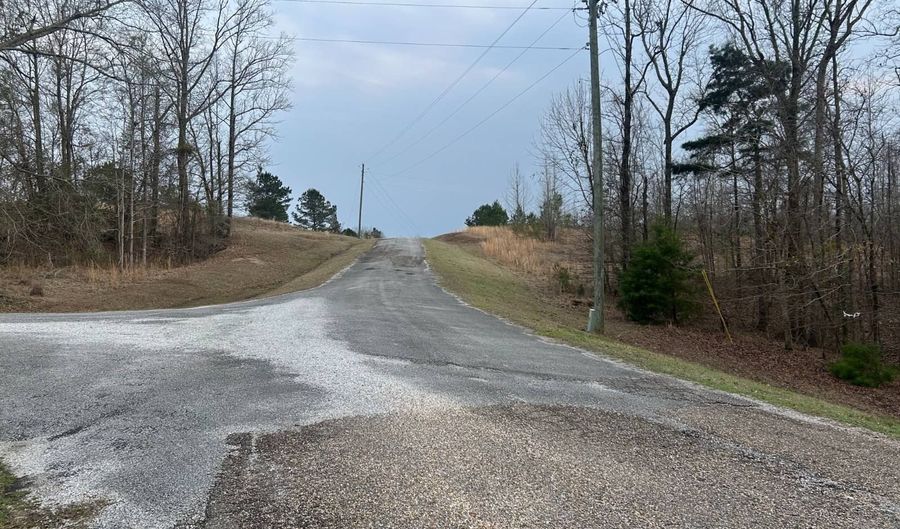 County Road 29, Alberta, AL 36720 - 0 Beds, 0 Bath