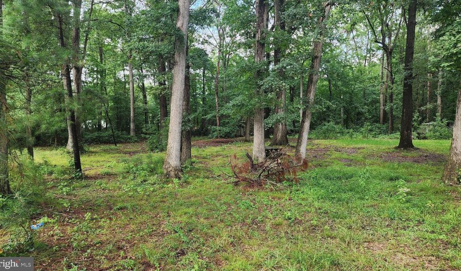 2978 KENTON Rd, Dover, DE 19904 - 0 Beds, 0 Bath