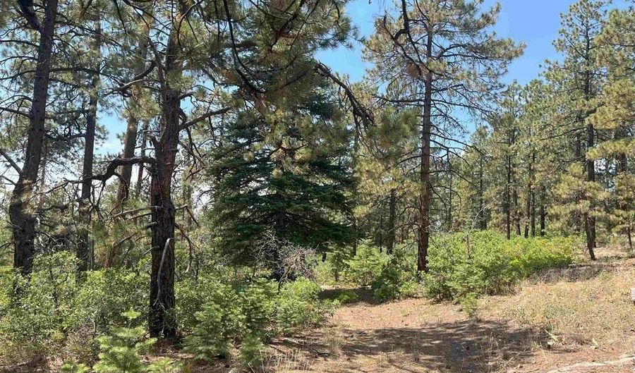 17 Snow Way Dr, Bayfield, CO 81122 - 0 Beds, 0 Bath