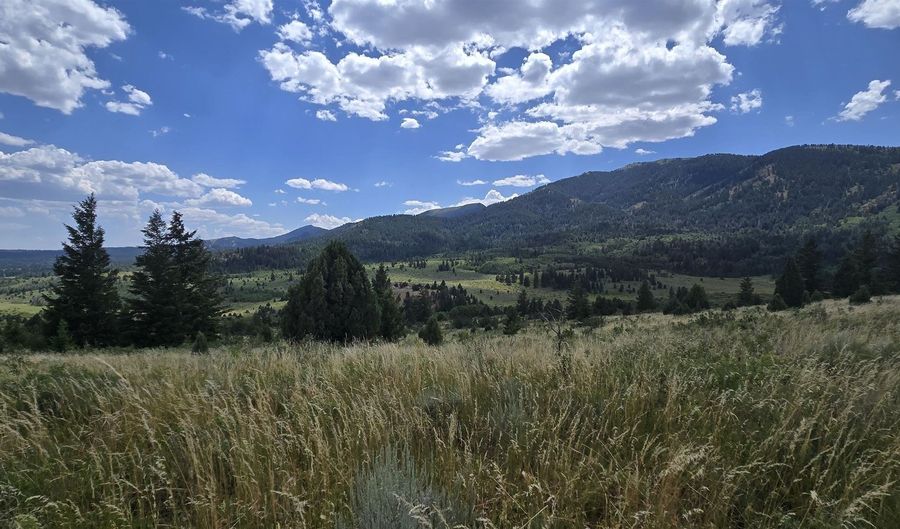 Lot10 Caribou NF Rd 36, Bancroft, ID 83217 - 0 Beds, 0 Bath