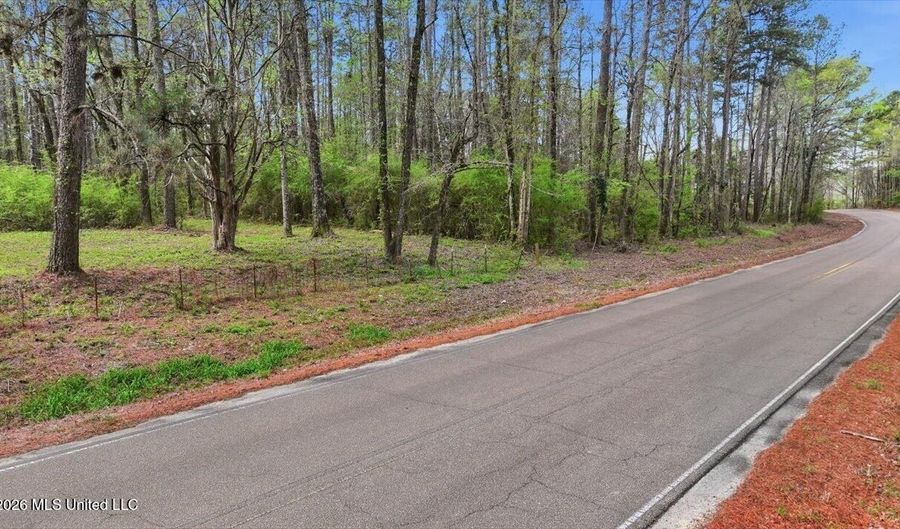 Harrisville Braxton Road, Braxton, MS 39044 - 0 Beds, 0 Bath