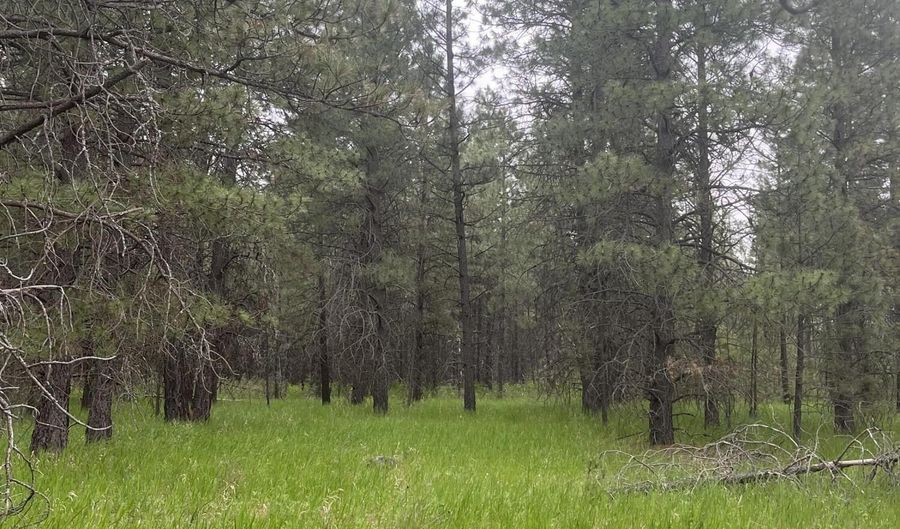 NNA N Sheep Springs Rd, Athol, ID 83801 - 0 Beds, 0 Bath