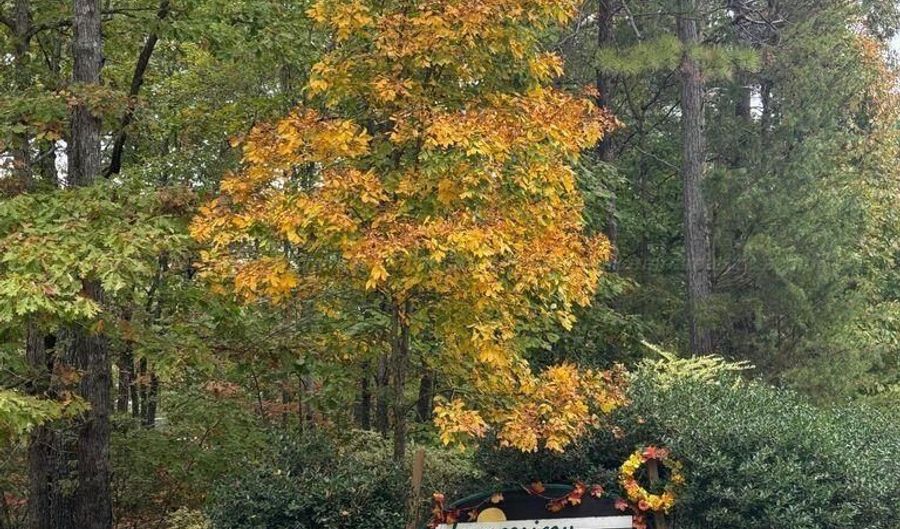 LONGVIEW LANDING LANE, Arley, AL 35541 - 0 Beds, 0 Bath