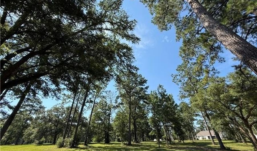 2720 SHADE TREE Ct Lot 464, Abita Springs, LA 70420 - 0 Beds, 0 Bath