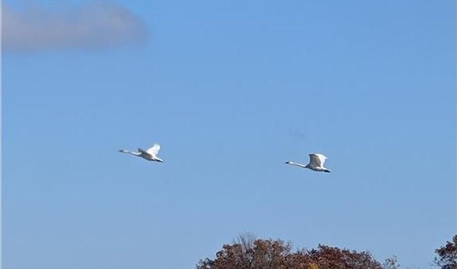 17265 Ward Lake Dr NW, Andover, MN 55304 - 5 Beds, 5 Bath