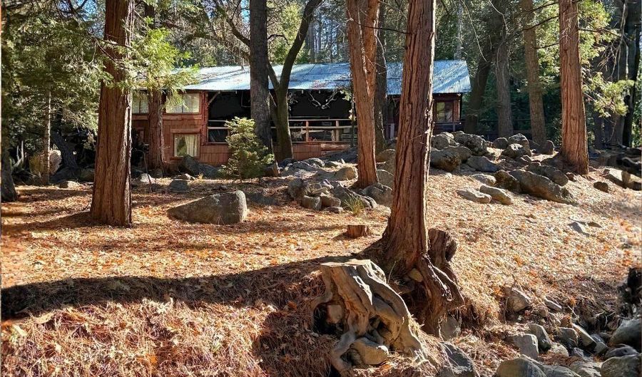 12 Barton Flats Rd, Angelus Oaks, CA 92305 - 3 Beds, 3 Bath