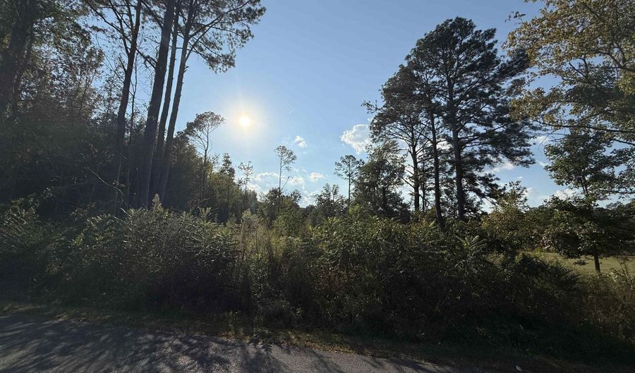 1 46 Acres 2nd Ave, Altoona, AL 35952 - 0 Beds, 0 Bath