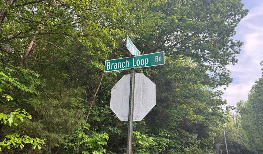 3 Lots Branch Loop, Big Sandy, TN 38221 - 0 Beds, 0 Bath